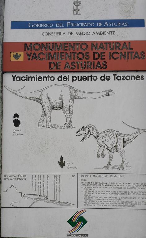 Terrazas Tazones
