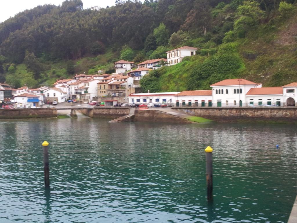 Terrazas Tazones